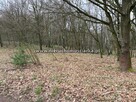 Działka rolno-budowlana Wodzisław Śląski - 8