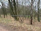 Działka rolno-budowlana Wodzisław Śląski - 12