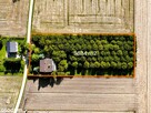 Dom 200m2 | Działka 5600m2 | Chruszczewo, ul Młynarska - 4