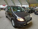 Lancia Musa ZOBACZ OPIS ! 1.9 JTD ! - 1