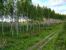 Działka budowlana Mokiny gm. Barczewo - 6