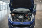 Ford Fiesta 1.0 Benzyna/przebieg: 79955 km - 6