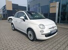 Fiat 500 Lounge 1.2 Lounge 69KM - 8