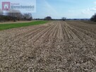 Działka rolno-budowlana Spytkowice - 2
