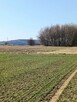 DZIAŁKI W ŚWIERZOWEJ POLSKIEJ - 6