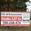 Działka 3,87 ha Dębówka k/Błonia - 1