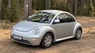 New Beetle