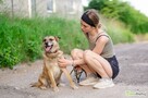 Tores - przekochany, niekonfliktowy psiak do adopcji - 3