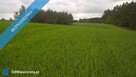 Mazury!! Stare Juchy działki 3000m2 w okolicach jeziora Garbas położone przy lesie - 10