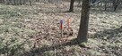Działki budowlane 6,75 ha NAD MORZEM Ustka Słupsk Działka in - 10