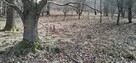 Działki budowlane 6,75 ha NAD MORZEM Ustka Słupsk Działka in - 9