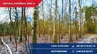 Działka budowlana 3000 m² PRZY LESIE – Piskórka, gm. Prażmów - 6