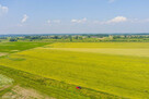 Działka rolna Szczurowa- Brzesko-Małopolska - 3
