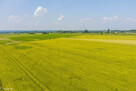 Działka rolna Szczurowa- Brzesko-Małopolska - 4