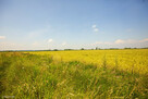Działka rolna Szczurowa- Brzesko-Małopolska - 7