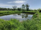 Stawy rybne 12 ha – inwestycja, hodowla ryb |Opolskie - 2