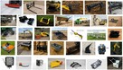 Elektryczna E Ładowarka E Koparka NOWE 2026 | PRODUCENT PL - 15