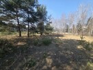 Działka usługowa Zakręt gm. Wiązowna - 6