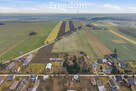 11 ha w Korytnie gm. Masłowice - 16