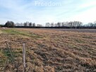 Działka budowlana Piszczac Kolonia - 2