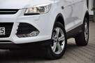 Ford Kuga 1,5 Benz 150KM Alufelgi PDC 1Wł. Grz.Fotele Grz. Szyba Komputer Serwis - 7