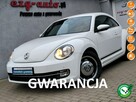 Volkswagen Beetle bezwypadkowy serwis wyposażenie Gwarancja - 1