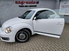 Volkswagen Beetle bezwypadkowy serwis wyposażenie Gwarancja - 2