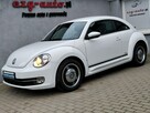 Volkswagen Beetle bezwypadkowy serwis wyposażenie Gwarancja - 3