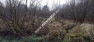 ⭐⭐⭐⭐  Działka Budowlana 1122 m Budy Grzybek ⭐⭐⭐⭐ - 6