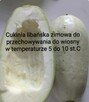 Cukinia kolekcjonerskie zimowe - 2