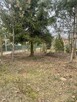 Pielęgnacja ogrodów - 6