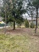 Pielęgnacja ogrodów - 7