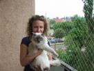 Siatka Dla Kota Zabezpieczy Balkon i Okna Montaż Łódź - 2