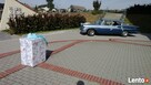 BALONY na wesele slub biale perlowe kolorowe bal impreza wow - 4