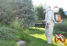 Oprysk ogrodów, sadów, parków na: komary, meszki, kleszcze