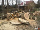 Wycinka, wycinanie drzew, wywóz gałęzi, usługi rębakiem - 2