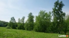 rekreacyjna nad jeziorem Długim/Modzerowskim przy lesie - 3
