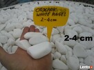 Grys Otoczak ŚNIEŻNOBIAŁY THASSOS white angel NAJlepsza jako - 3