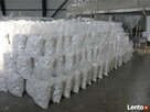 Grys Otoczak ŚNIEŻNOBIAŁY THASSOS white angel NAJlepsza jako - 7