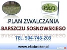 Program zwalczania barszczu Sosnowskiego, tel. 504-746-203, - 4