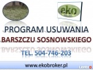 Program zwalczania barszczu Sosnowskiego, tel. 504-746-203, - 1