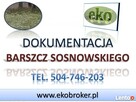 Program zwalczania barszczu Sosnowskiego, tel. 504-746-203, - 3