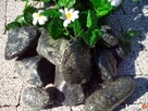 Kamien ogrodowy an.dar jelenia gora piechowice - 6
