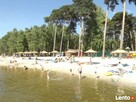 PARASOL przeciwsłoneczny zacieniacz z trzciny dach - 3