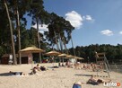 PARASOL przeciwsłoneczny zacieniacz z trzciny dach - 5