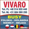 Przewóz osób, gostynin, Transport,, Holandia, Belgia, Niemcy - 2
