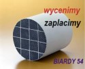 skup filtrów DPF i katalizatorów-Łuków/Siedlce/Biardy - 4