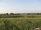 działka na sprzedaż - 5