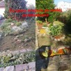 Koszenie traw i trawników.Zakładanie rabat kwiatowych - 2