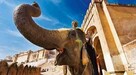 Indie i Nepal - Geotour - 6